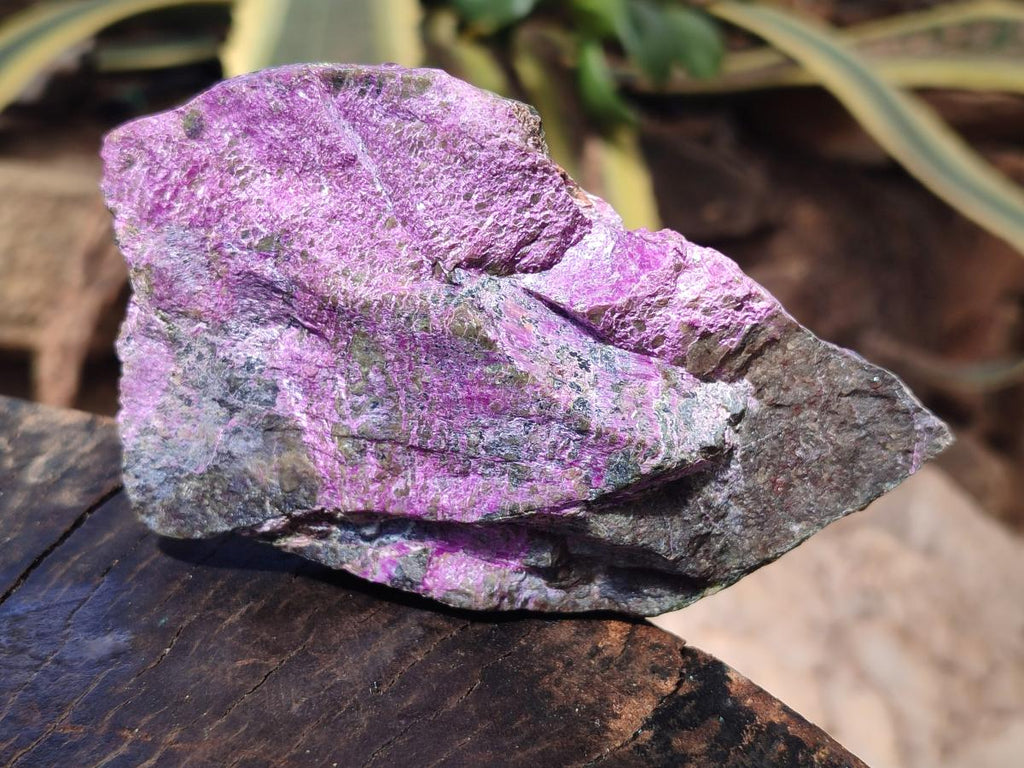 Natural Cobbed Stichtite Specimens x 6 From Barberton, South Africa