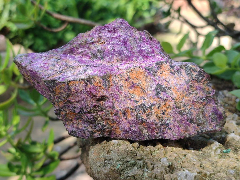 Natural Cobbed Stichtite Specimens x 6 From Barberton, South Africa