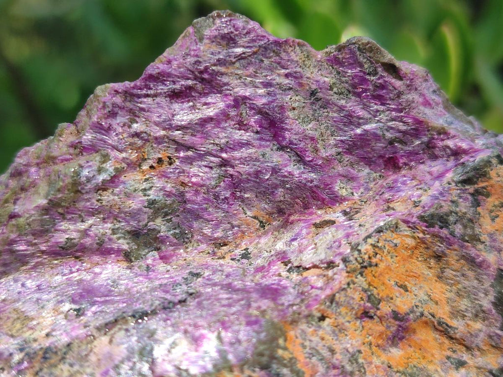 Natural Cobbed Stichtite Specimens x 6 From Barberton, South Africa