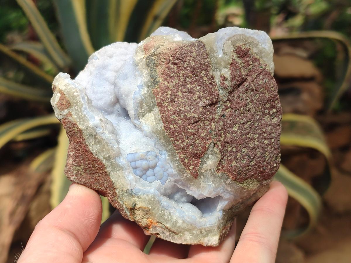 Natural Blue Lace Agate Specimens x 5 From Nsanje, Malawi