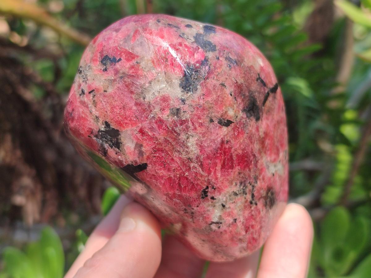 Polished Rhodonite Standing Display Pieces x 2 From Rhusinga, Zimbabwe