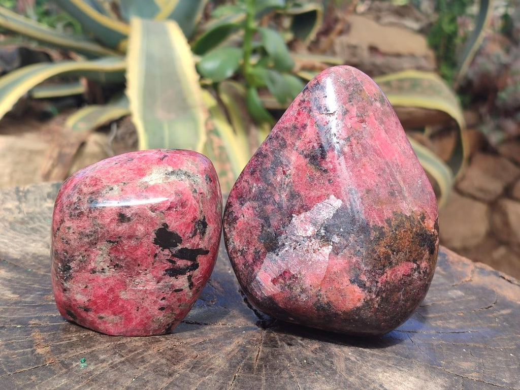 Polished Rhodonite Standing Display Pieces x 2 From Rhusinga, Zimbabwe