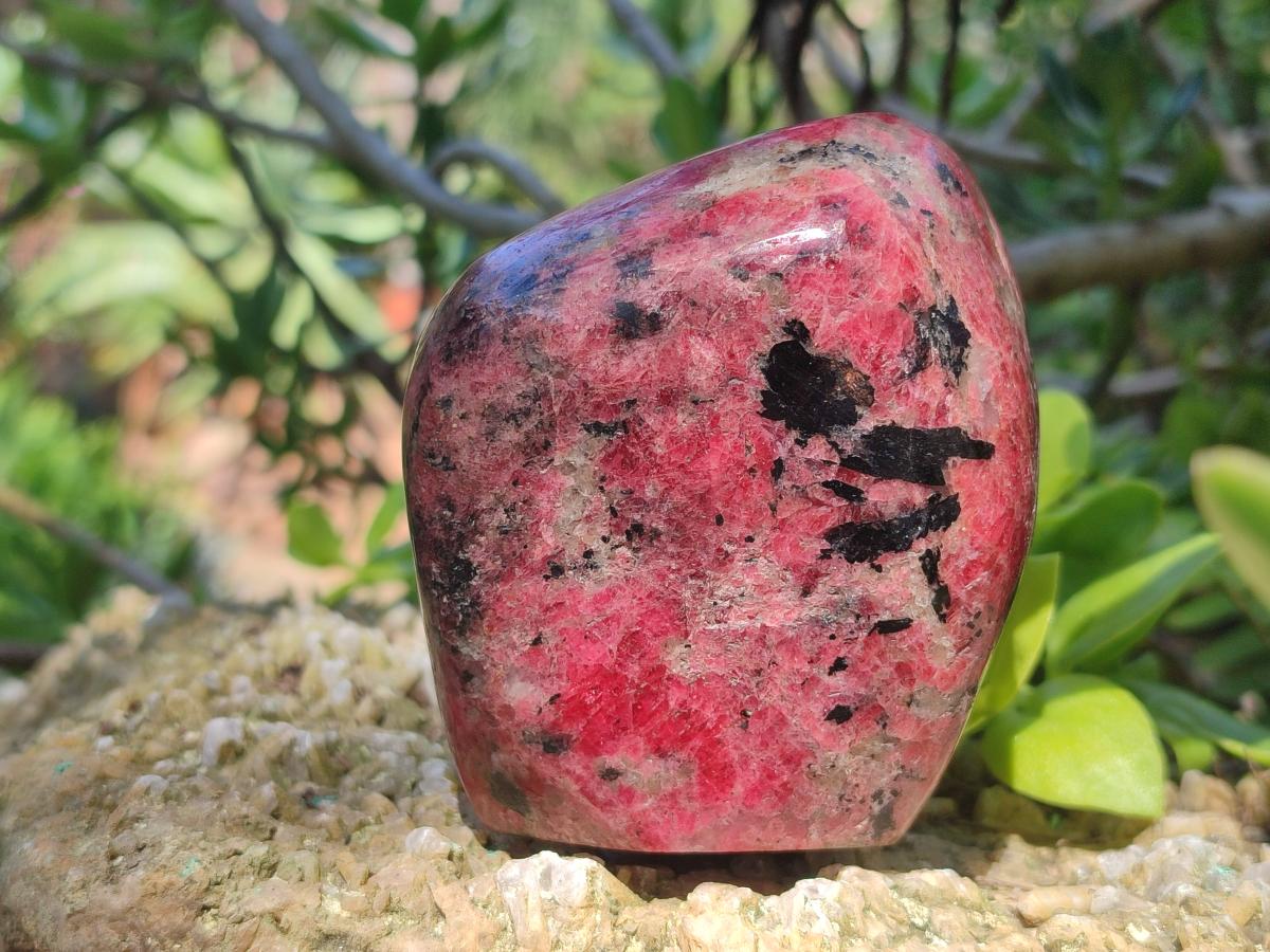 Polished Rhodonite Standing Display Pieces x 2 From Rhusinga, Zimbabwe