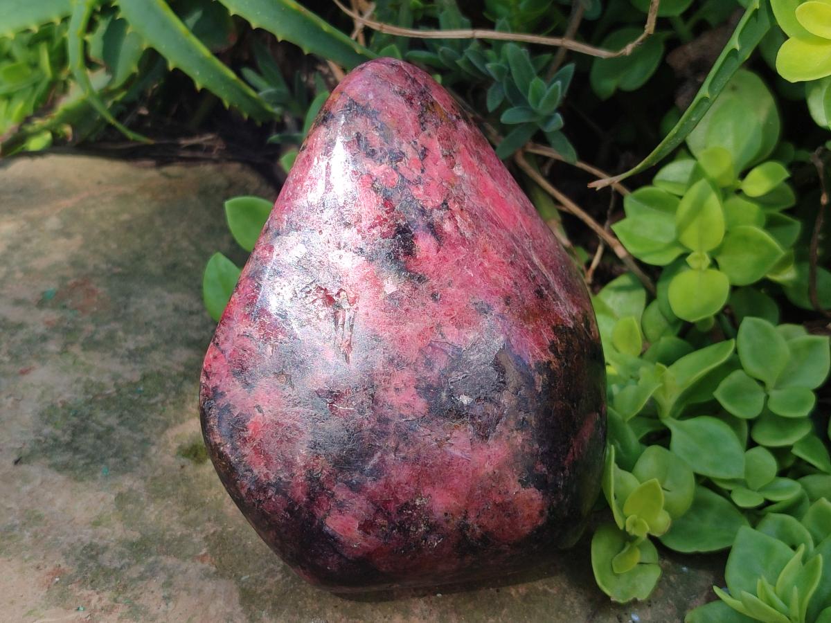 Polished Rhodonite Standing Display Pieces x 2 From Rhusinga, Zimbabwe