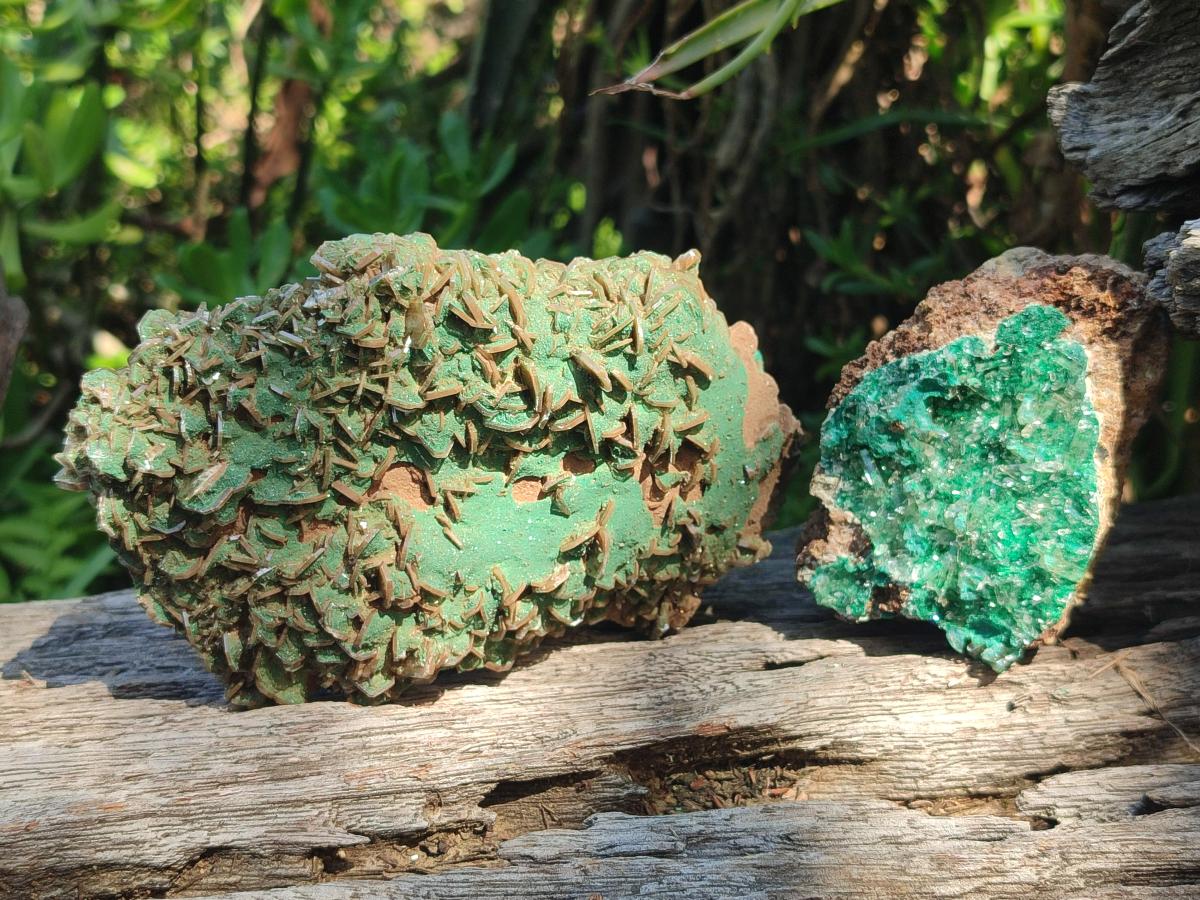 Natural Rare Bladed Barite Specimens with Malachite x 2 From Shangulowé Mine, Congo