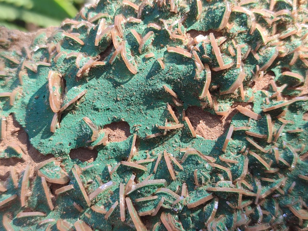 Natural Rare Bladed Barite Specimens with Malachite x 2 From Shangulowé Mine, Congo