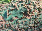 Natural Rare Bladed Barite Specimens with Malachite x 2 From Shangulowé Mine, Congo