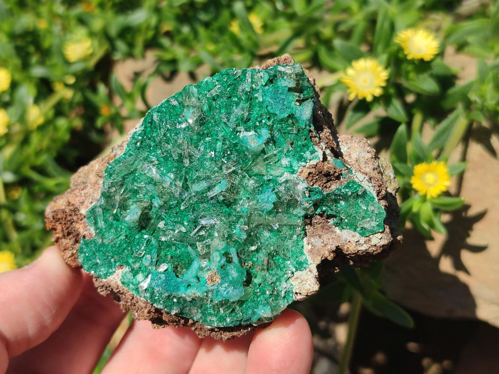 Natural Rare Bladed Barite Specimens with Malachite x 2 From Shangulowé Mine, Congo
