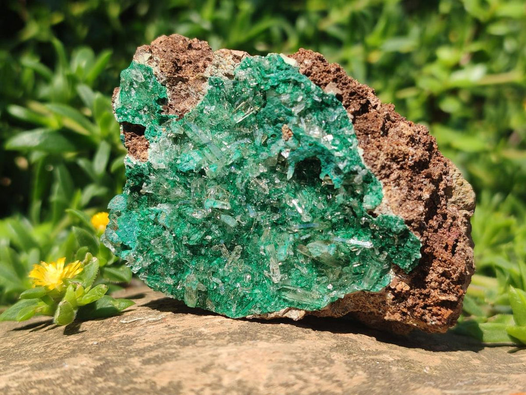Natural Rare Bladed Barite Specimens with Malachite x 2 From Shangulowé Mine, Congo