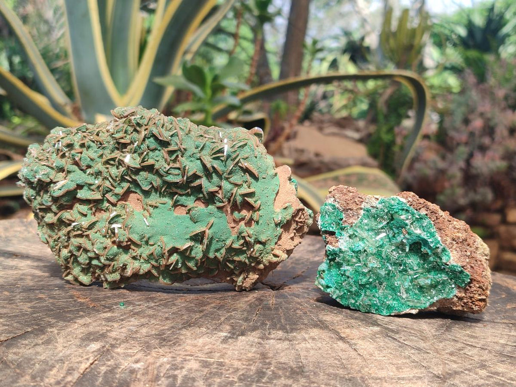 Natural Rare Bladed Barite Specimens with Malachite x 2 From Shangulowé Mine, Congo