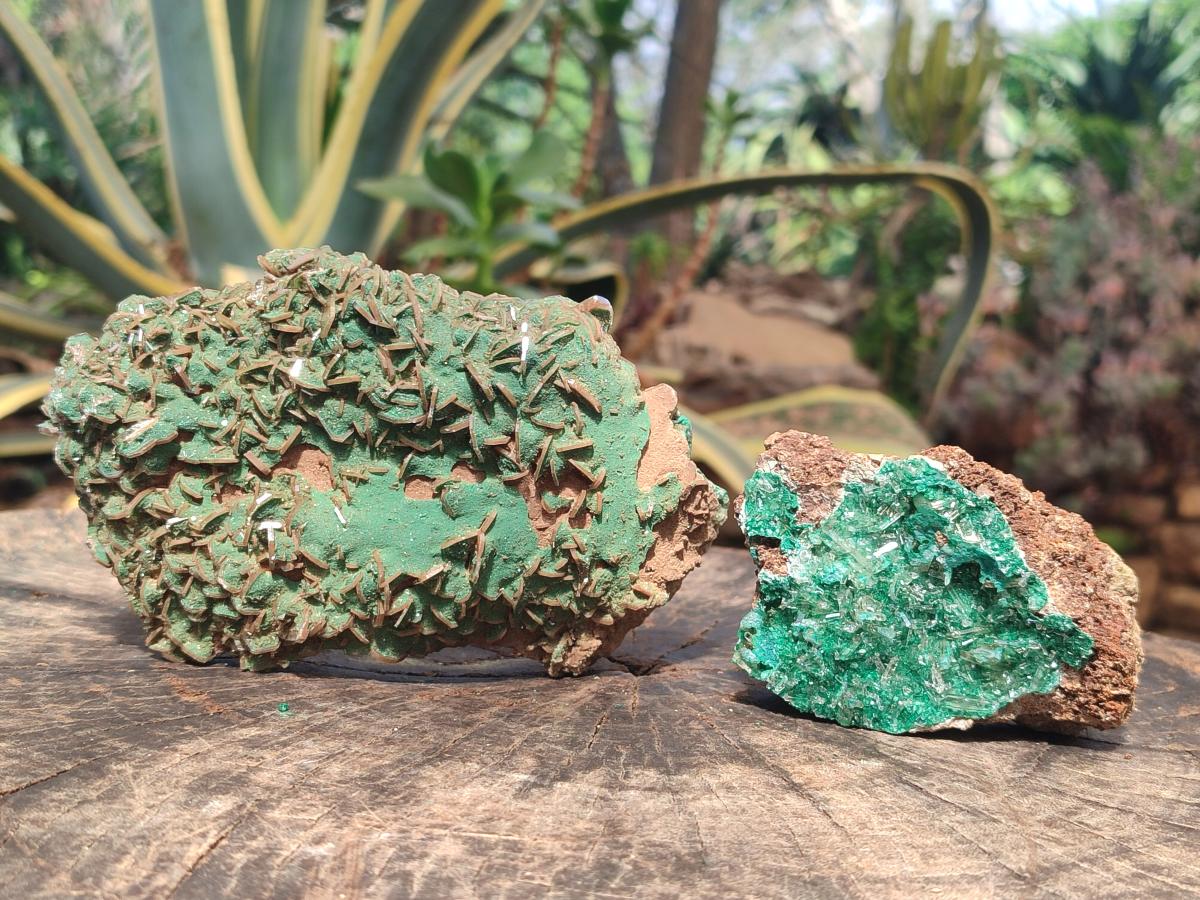 Natural Rare Bladed Barite Specimens with Malachite x 2 From Shangulowé Mine, Congo