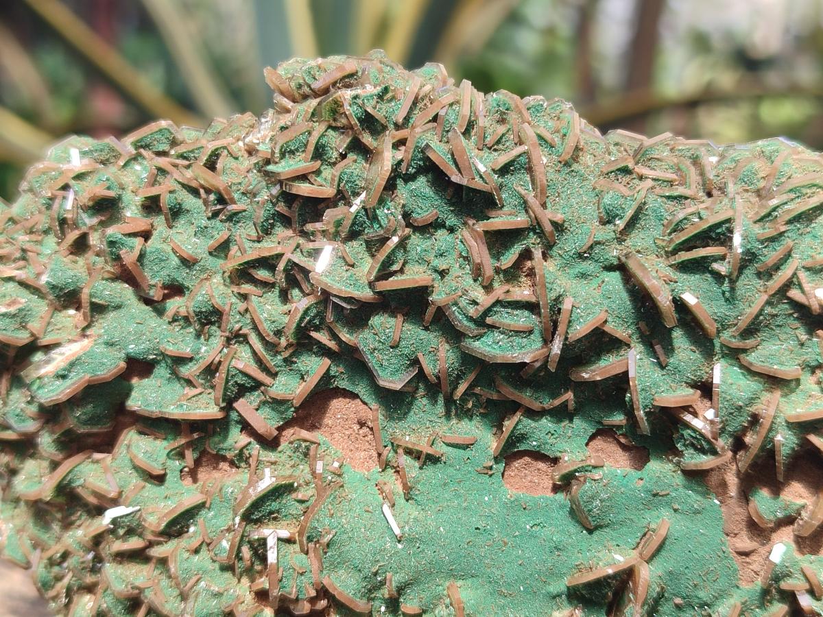 Natural Rare Bladed Barite Specimens with Malachite x 2 From Shangulowé Mine, Congo