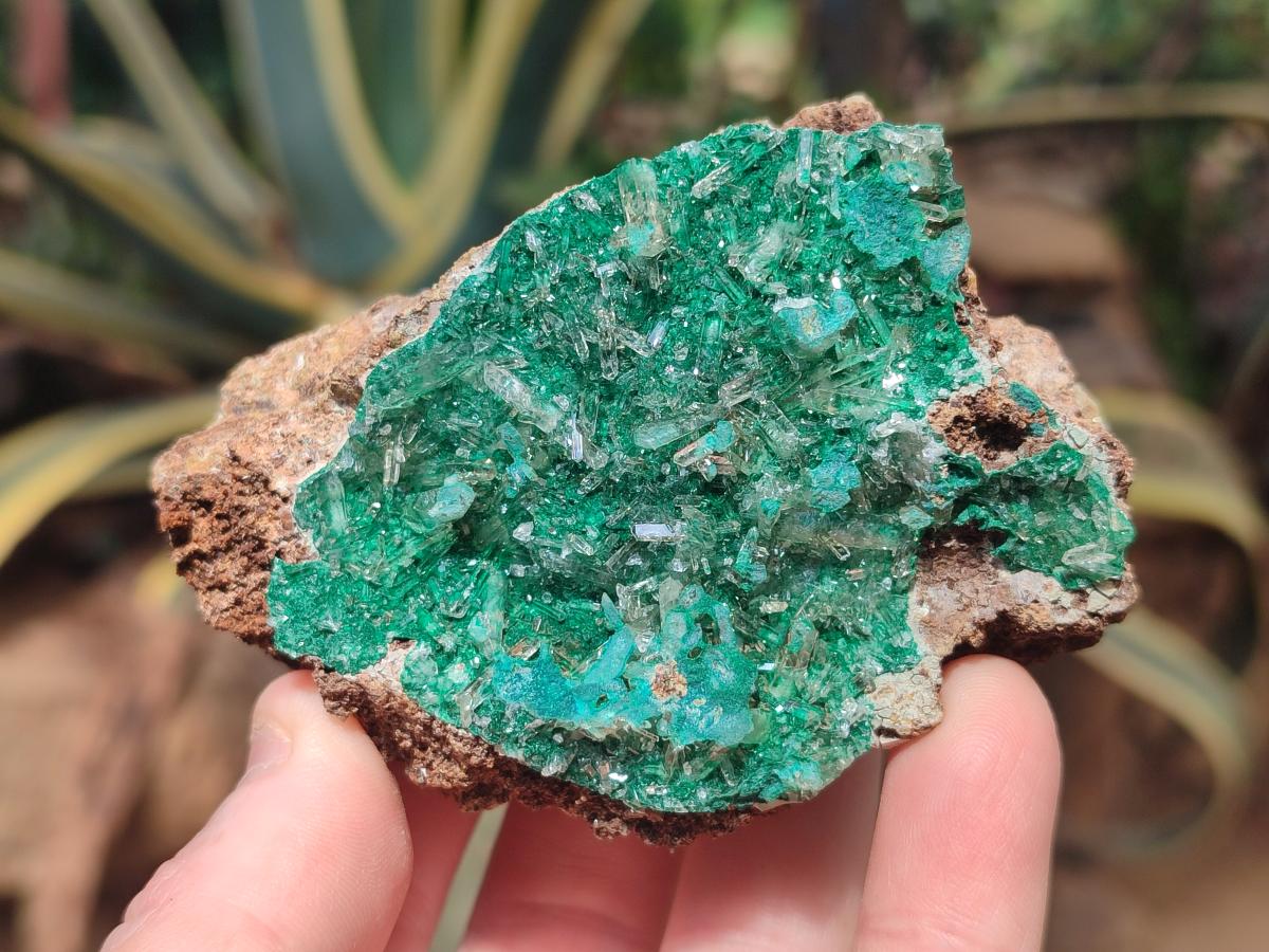 Natural Rare Bladed Barite Specimens with Malachite x 2 From Shangulowé Mine, Congo