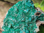 Natural Rare Bladed Barite Specimens with Malachite x 2 From Shangulowé Mine, Congo