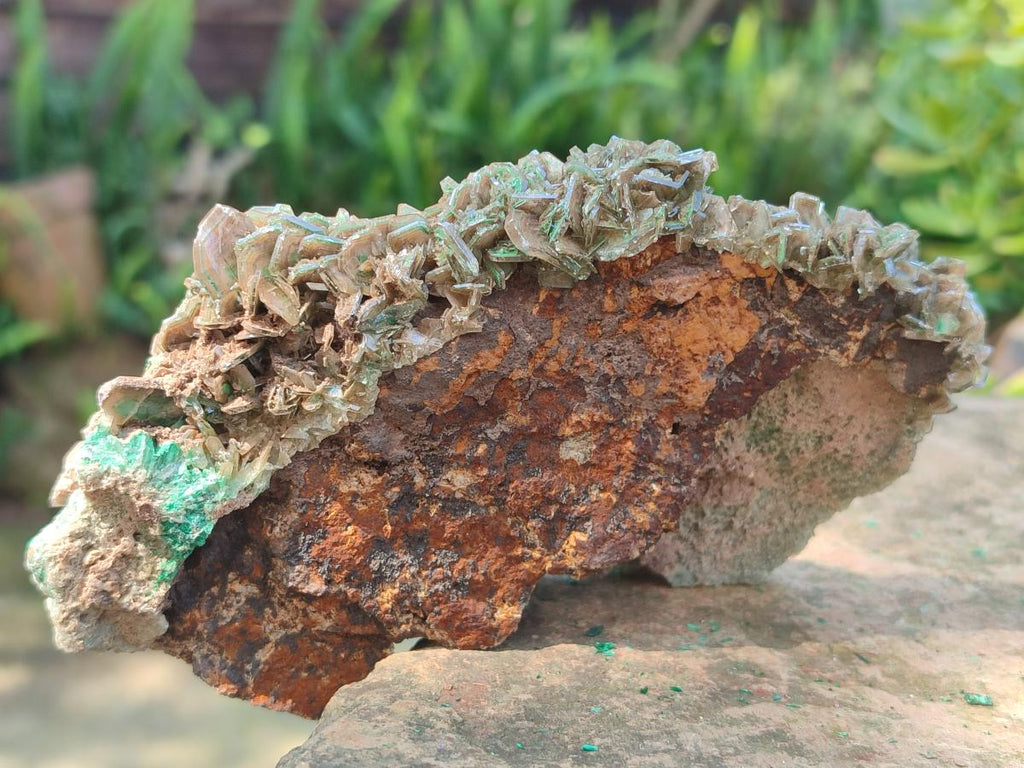 Natural Rare Bladed Barite Specimens with Malachite x 2 From Shangulowé Mine, Congo