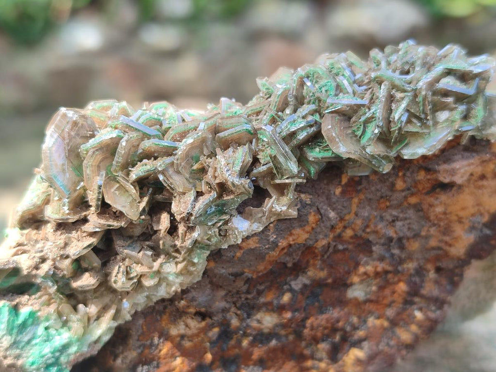 Natural Rare Bladed Barite Specimens with Malachite x 2 From Shangulowé Mine, Congo