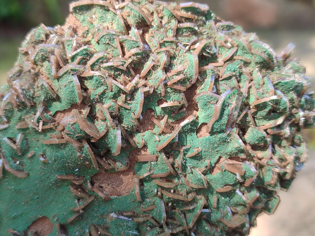 Natural Rare Bladed Barite Specimens with Malachite x 2 From Shangulowé Mine, Congo