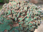 Natural Rare Bladed Barite Specimens with Malachite x 2 From Shangulowé Mine, Congo