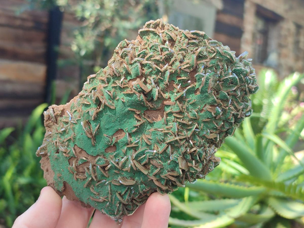 Natural Rare Bladed Barite Specimens with Malachite x 2 From Shangulowé Mine, Congo