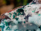 Natural Drusy Coated Chrysocolla Specimens with Malachite Specimen x 12 From Lupoto Mine, Congo