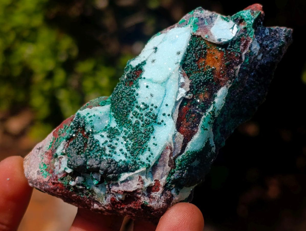 Natural Drusy Coated Chrysocolla Specimens with Malachite Specimen x 12 From Lupoto Mine, Congo