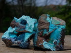 Natural Drusy Coated Chrysocolla Specimens with Malachite Specimen x 12 From Lupoto Mine, Congo
