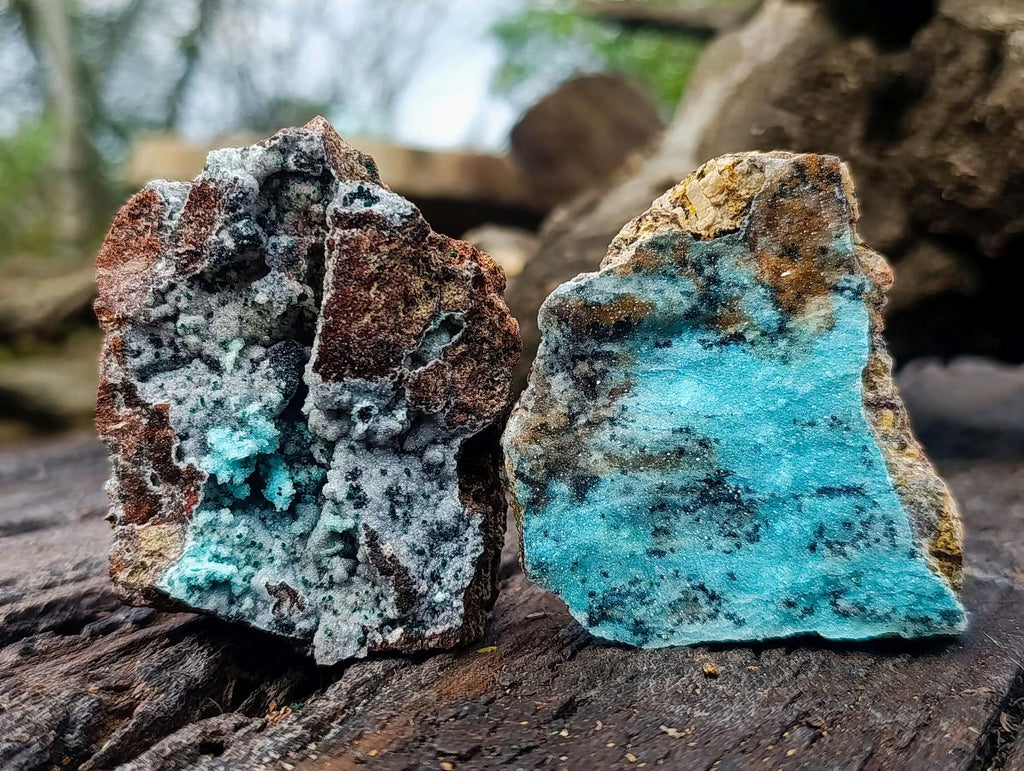 Natural Drusy Coated Chrysocolla Specimens with Malachite Specimen x 12 From Lupoto Mine, Congo