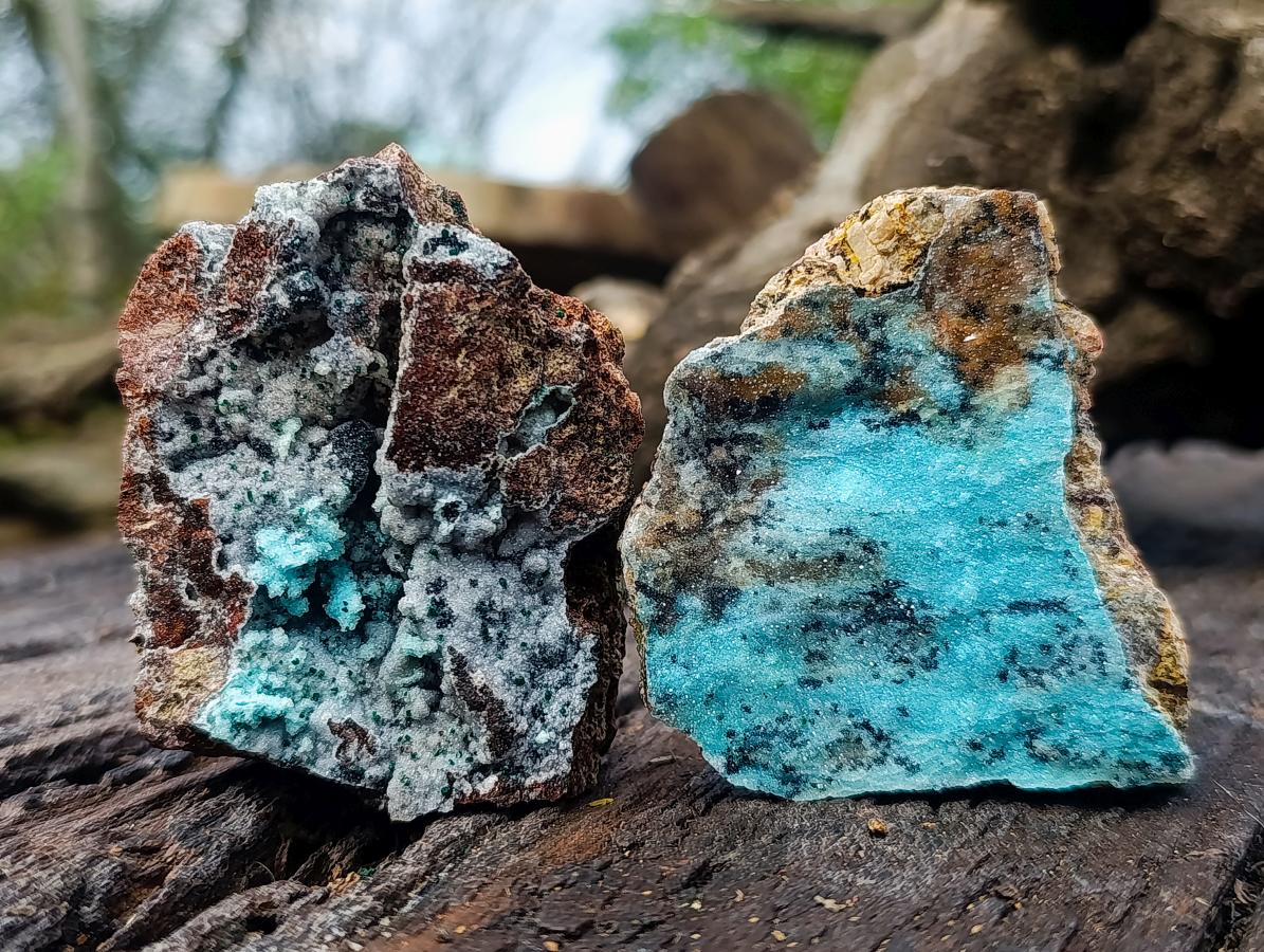 Natural Drusy Coated Chrysocolla Specimens with Malachite Specimen x 12 From Lupoto Mine, Congo