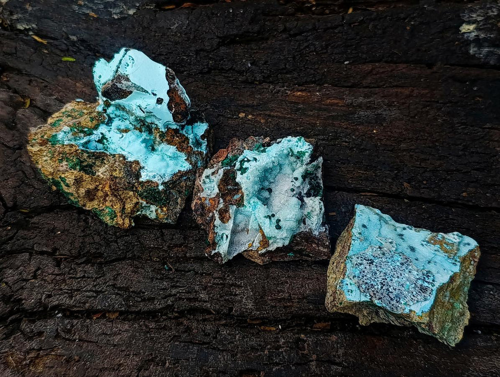 Natural Drusy Coated Chrysocolla Specimens with Malachite Specimen x 12 From Lupoto Mine, Congo