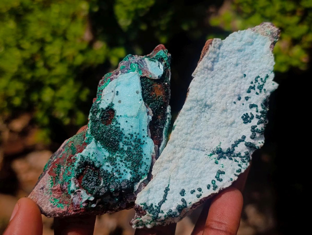 Natural Drusy Coated Chrysocolla Specimens with Malachite Specimen x 12 From Lupoto Mine, Congo