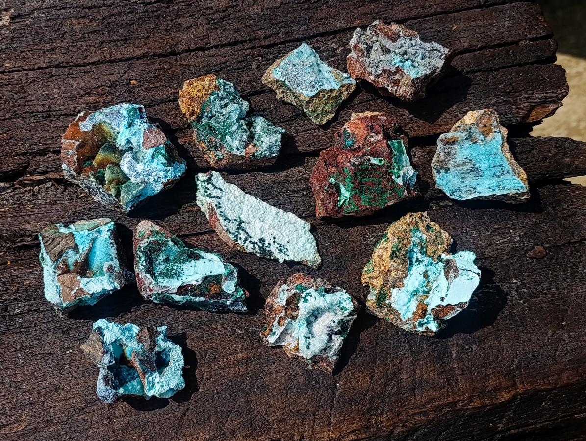 Natural Drusy Coated Chrysocolla Specimens with Malachite Specimen x 12 From Lupoto Mine, Congo