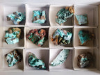 Natural Drusy Coated Chrysocolla Specimens with Malachite Specimen x 12 From Lupoto Mine, Congo