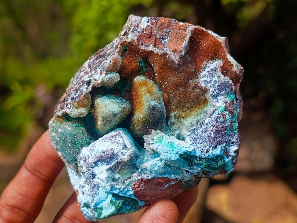 Natural Drusy Coated Chrysocolla Specimens with Malachite Specimen x 12 From Lupoto Mine, Congo