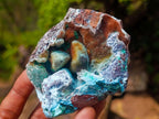 Natural Drusy Coated Chrysocolla Specimens with Malachite Specimen x 12 From Lupoto Mine, Congo