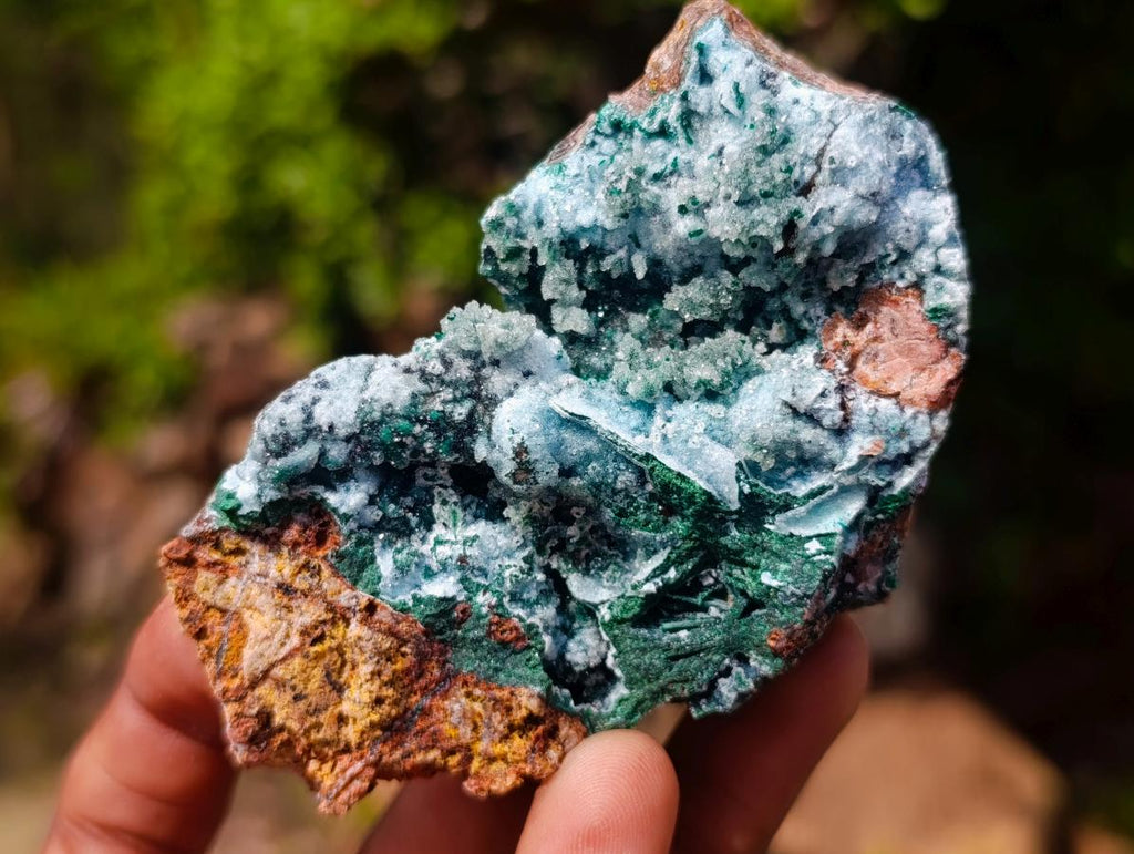 Natural Drusy Coated Chrysocolla Specimens with Malachite Specimen x 12 From Lupoto Mine, Congo