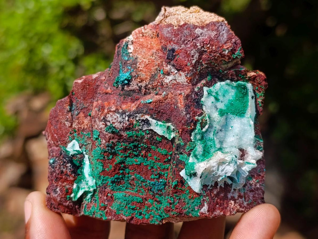 Natural Drusy Coated Chrysocolla Specimens with Malachite Specimen x 12 From Lupoto Mine, Congo