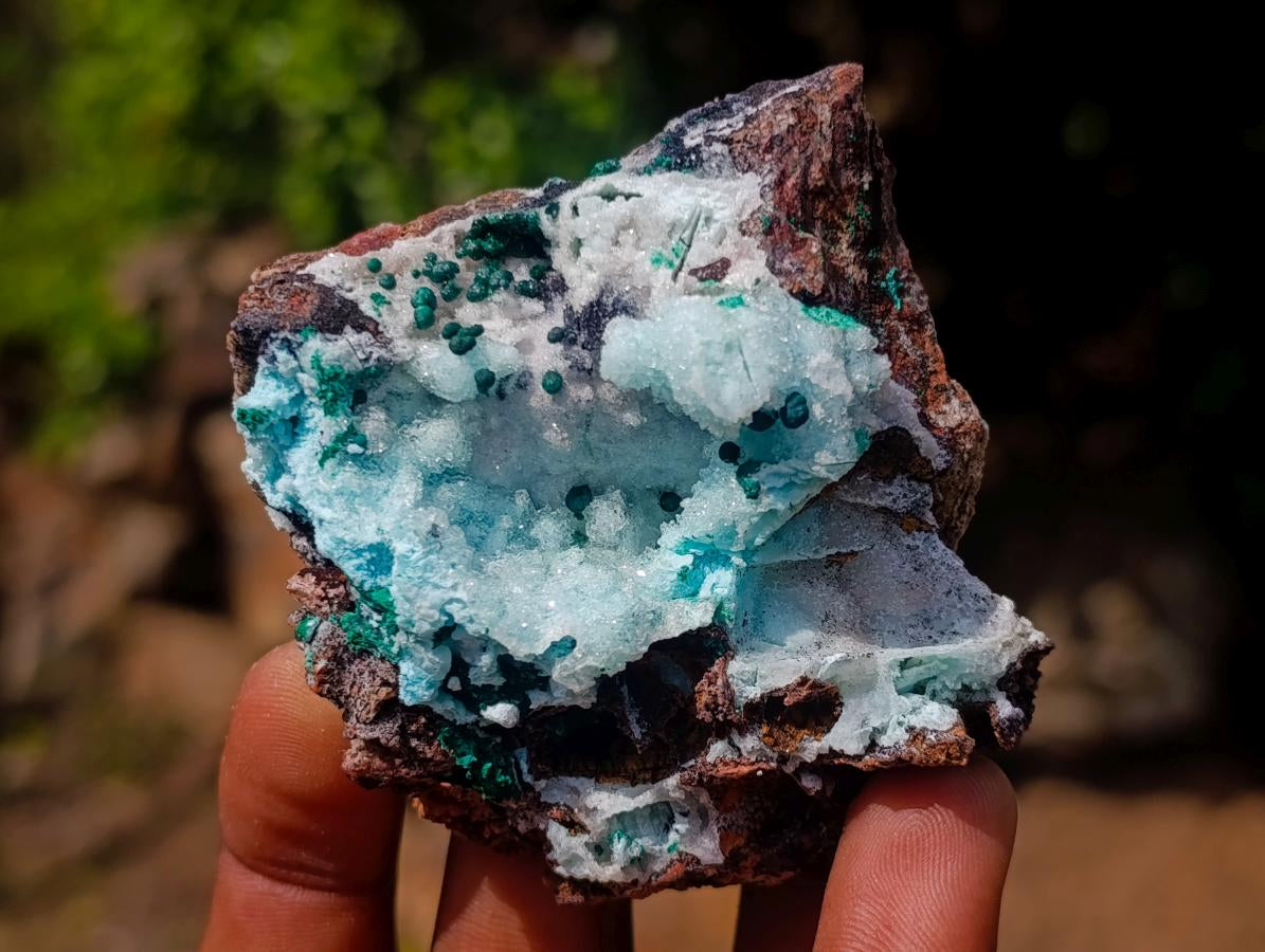 Natural Drusy Coated Chrysocolla Specimens with Malachite Specimen x 12 From Lupoto Mine, Congo