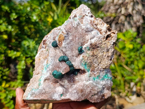Natural Large Ball Malachite Specimens Coated with Quartz on Dolomite Matrix x 1 From Mindingi Mine, Kambove, Congo