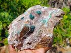 Natural Large Ball Malachite Specimens Coated with Quartz on Dolomite Matrix x 1 From Mindingi Mine, Kambove, Congo