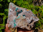 Natural Large Ball Malachite Specimens Coated with Quartz on Dolomite Matrix x 1 From Mindingi Mine, Kambove, Congo