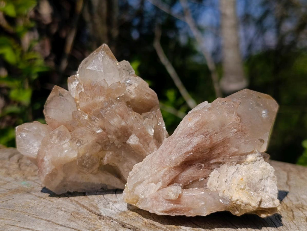 Natural Cascading White Phantom Smokey Luena Quartz Clusters x 12 From Luena, Congo