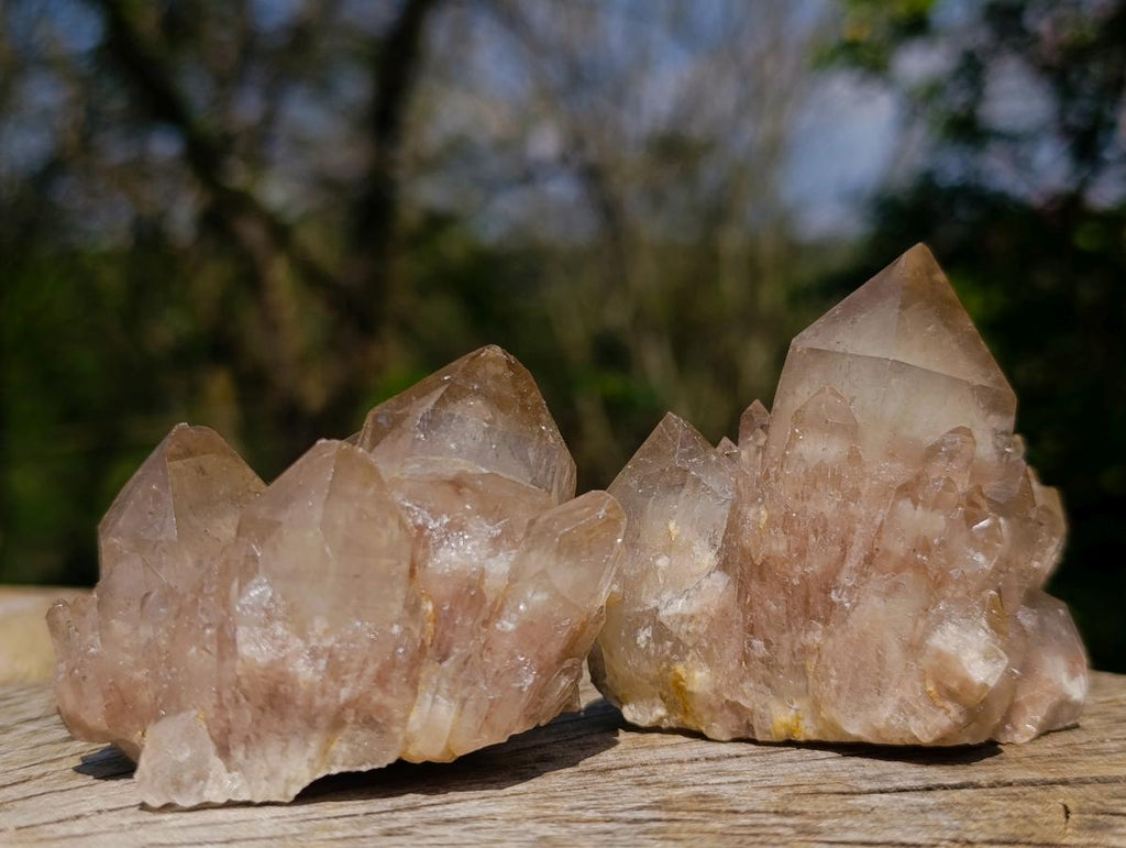 Natural Cascading White Phantom Smokey Luena Quartz Clusters x 12 From Luena, Congo