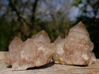 Natural Cascading White Phantom Smokey Luena Quartz Clusters x 12 From Luena, Congo