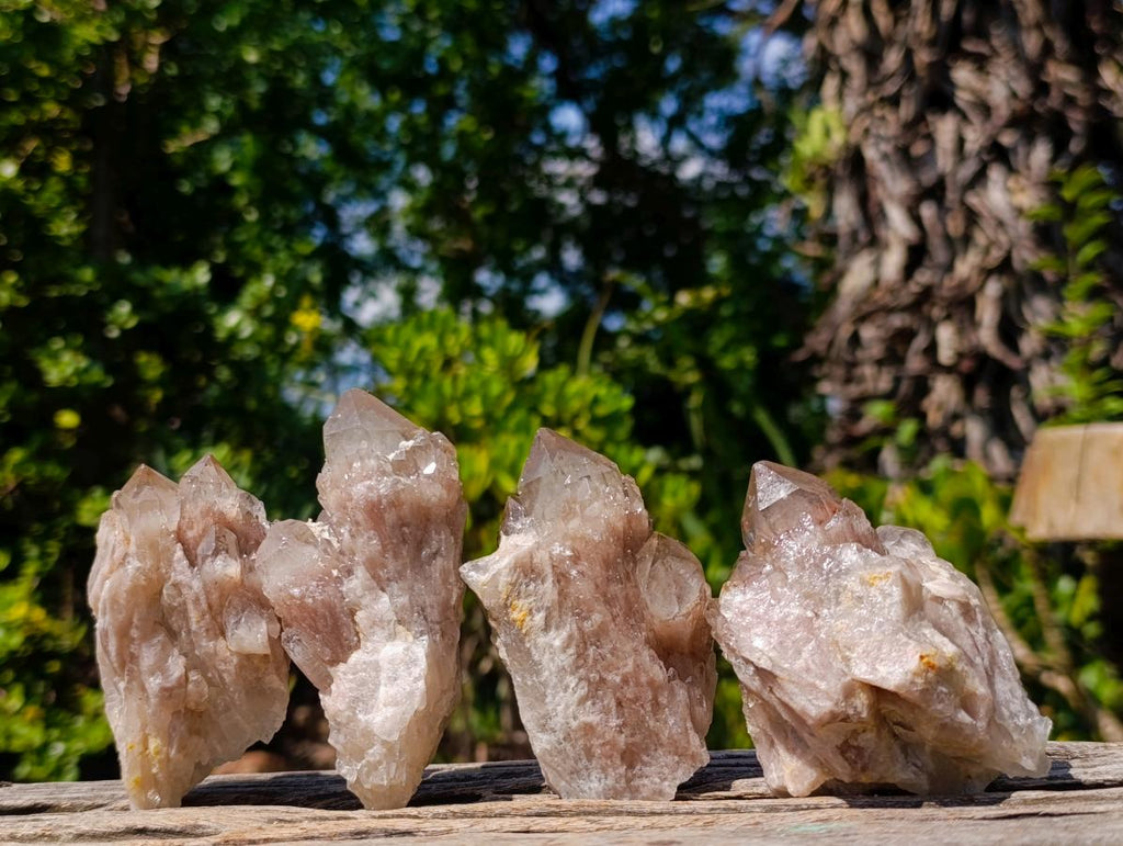 Natural Cascading White Phantom Smokey Luena Quartz Clusters x 12 From Luena, Congo