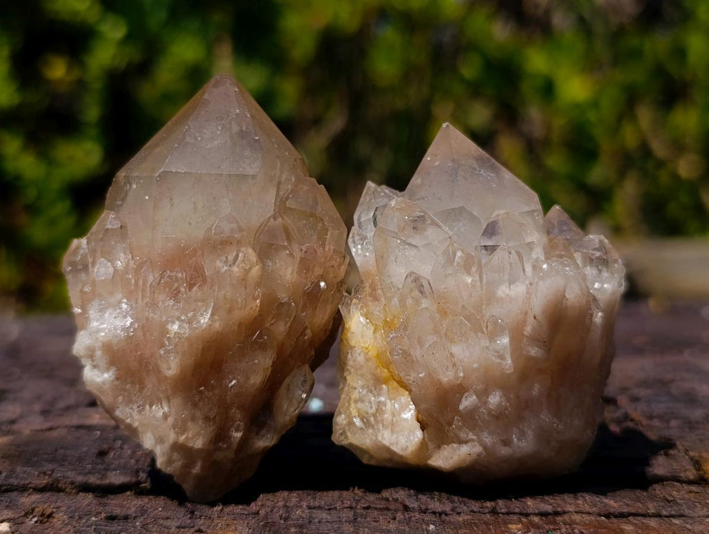 Natural Cascading White Phantom Smokey Luena Quartz Clusters x 12 From Luena, Congo