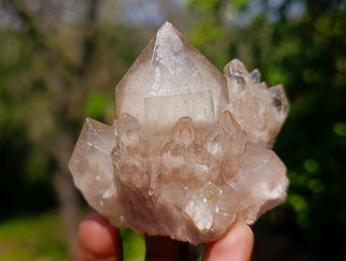 Natural Cascading White Phantom Smokey Luena Quartz Clusters x 12 From Luena, Congo