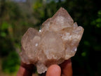 Natural Cascading White Phantom Smokey Luena Quartz Clusters x 12 From Luena, Congo