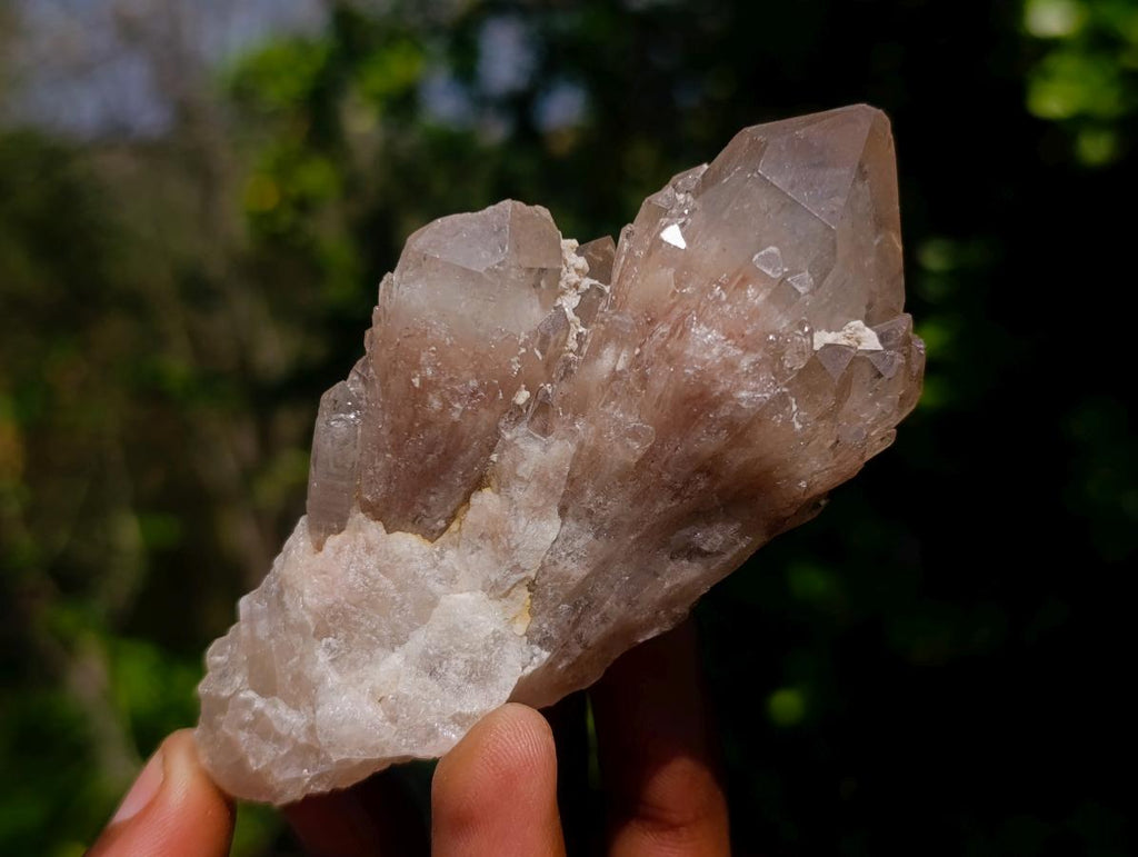 Natural Cascading White Phantom Smokey Luena Quartz Clusters x 12 From Luena, Congo
