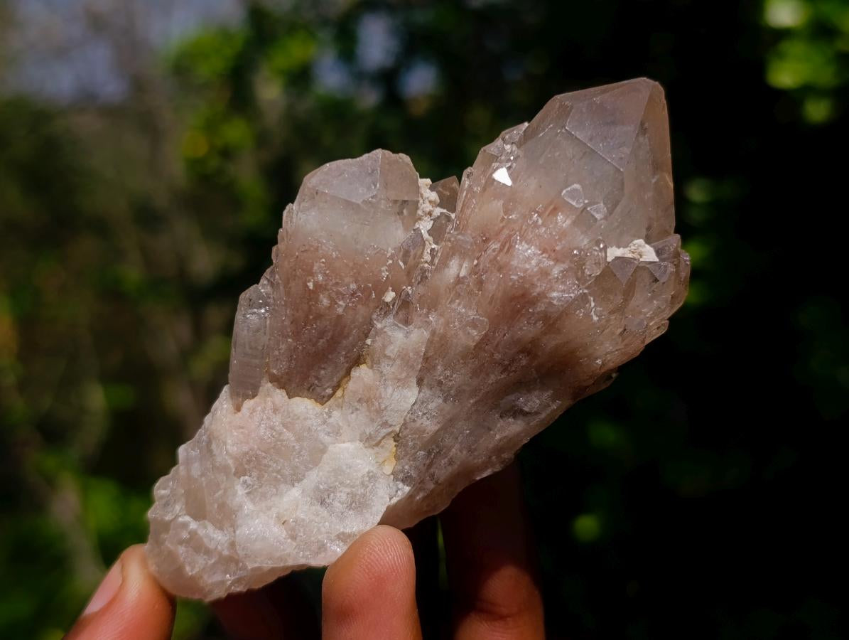 Natural Cascading White Phantom Smokey Luena Quartz Clusters x 12 From Luena, Congo