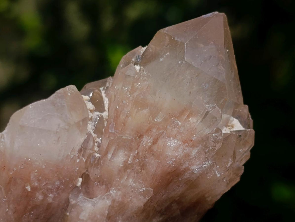 Natural Cascading White Phantom Smokey Luena Quartz Clusters x 12 From Luena, Congo